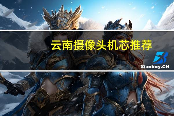 云南摄像头机芯推荐