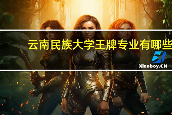 云南民族大学王牌专业有哪些