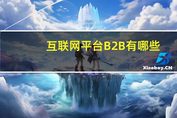 互联网平台B2B有哪些