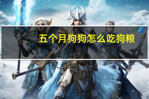 五个月狗狗怎么吃狗粮