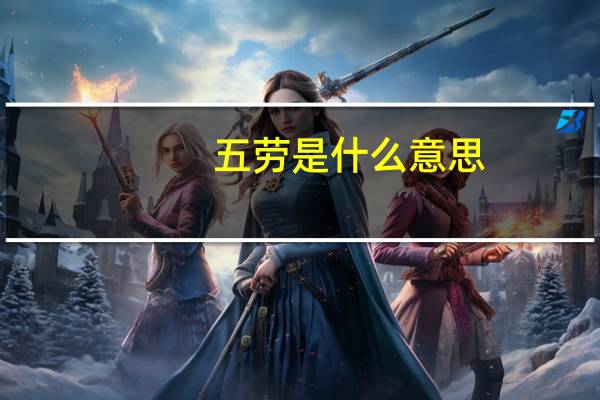 五劳是什么意思