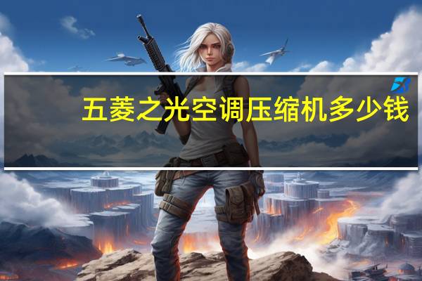 五菱之光空调压缩机多少钱