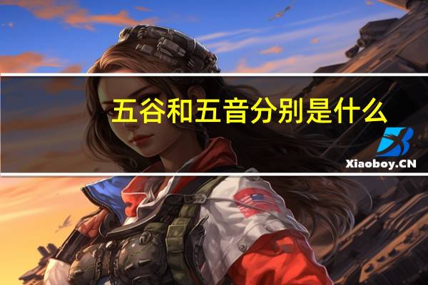 五谷和五音分别是什么