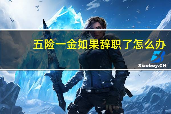 五险一金如果辞职了怎么办