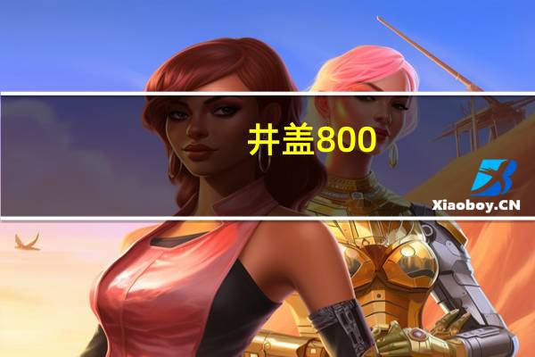 井盖800_900是什么意思