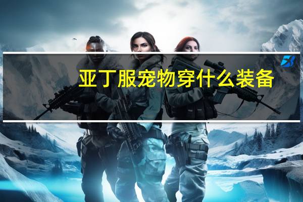 亚丁服宠物穿什么装备