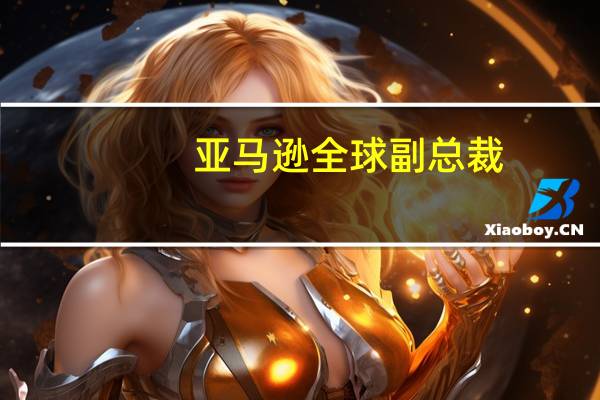 亚马逊全球副总裁