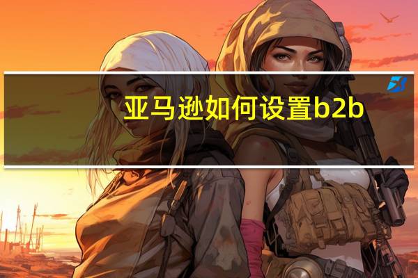 亚马逊如何设置b2b