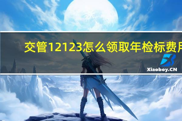交管12123怎么领取年检标费用