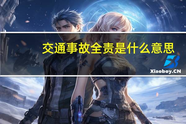 交通事故全责是什么意思