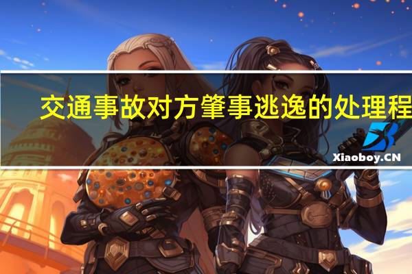 交通事故对方肇事逃逸的处理程序