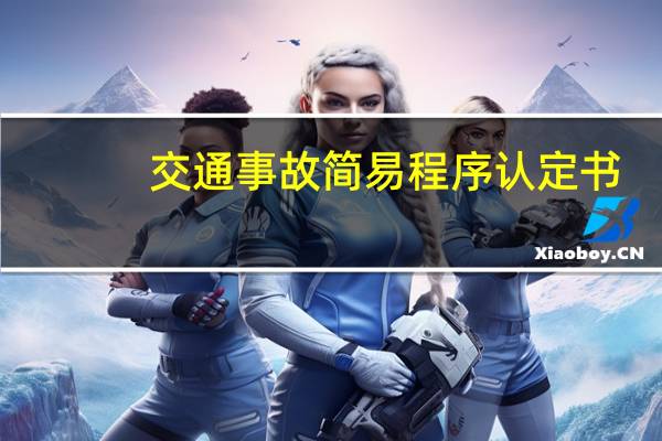 交通事故简易程序认定书