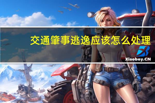 交通肇事逃逸应该怎么处理