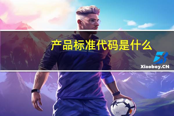 产品标准代码是什么