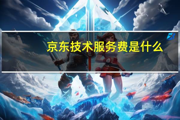 京东技术服务费是什么