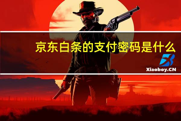 京东白条的支付密码是什么