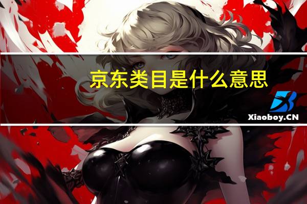 京东类目是什么意思