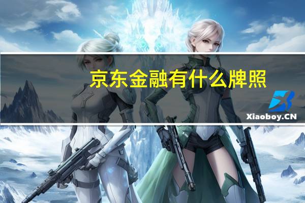 京东金融有什么牌照