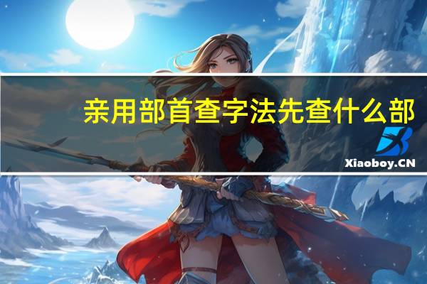 亲用部首查字法先查什么部