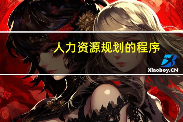 人力资源规划的程序