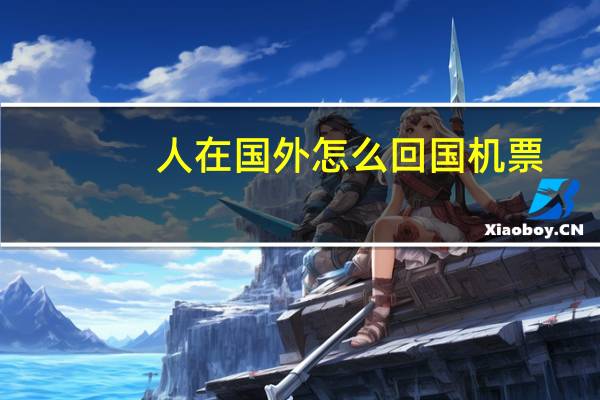 人在国外怎么回国机票