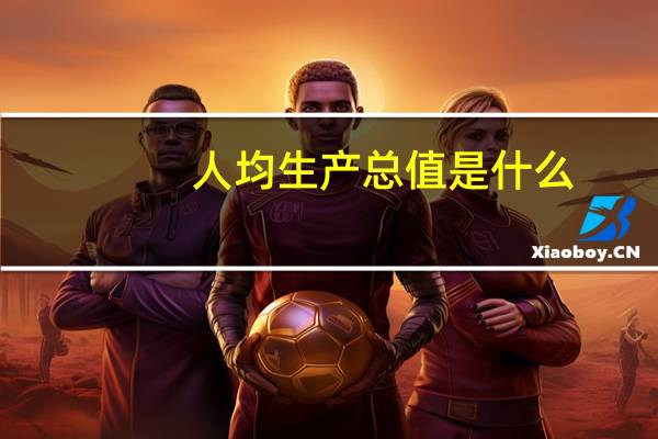 人均生产总值是什么