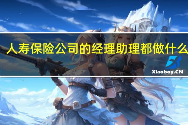 人寿保险公司的经理助理都做什么工作