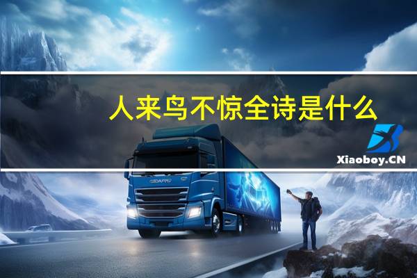 人来鸟不惊全诗是什么