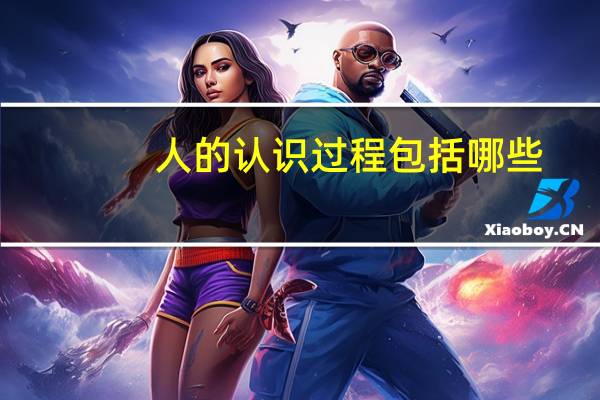 人的认识过程包括哪些