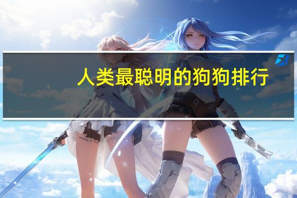 人类最聪明的狗狗排行