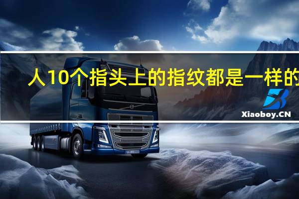 人10个指头上的指纹都是一样的吗