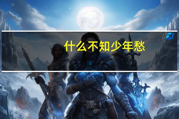什么不知少年愁