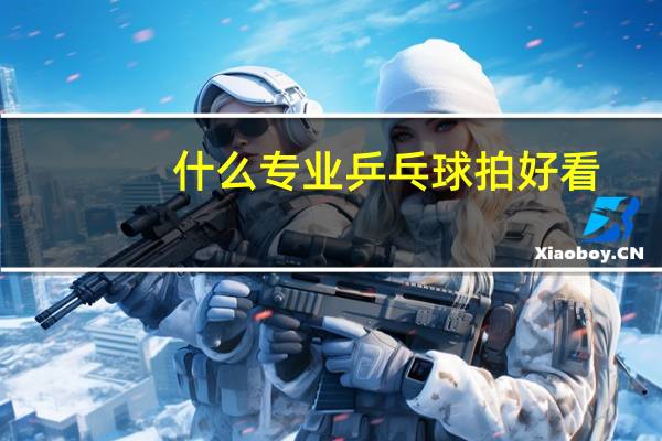 什么专业乒乓球拍好看