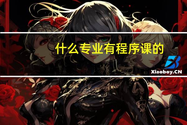 什么专业有程序课的