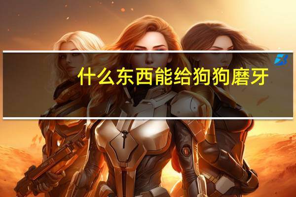 什么东西能给狗狗磨牙