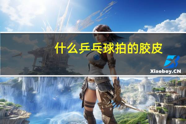 什么乒乓球拍的胶皮