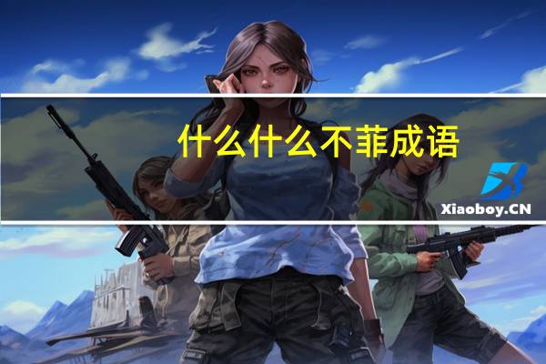 什么什么不菲成语