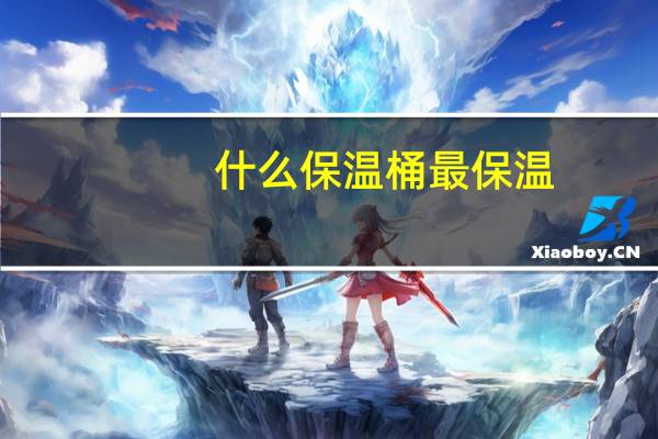 什么保温桶最保温