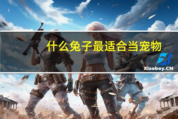 什么兔子最适合当宠物
