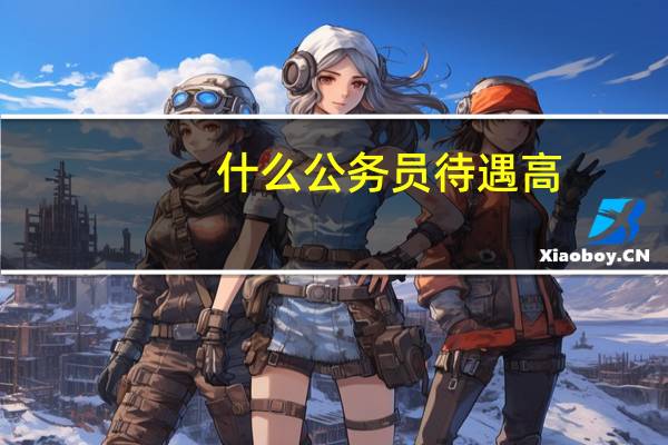 什么公务员待遇高