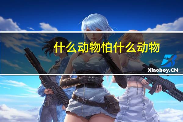 什么动物怕什么动物