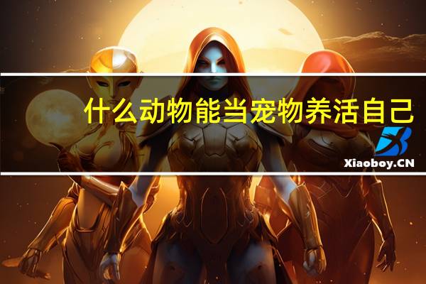 什么动物能当宠物养活自己
