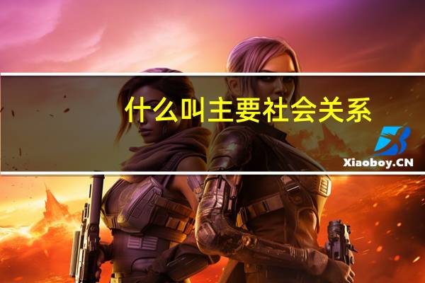 什么叫主要社会关系