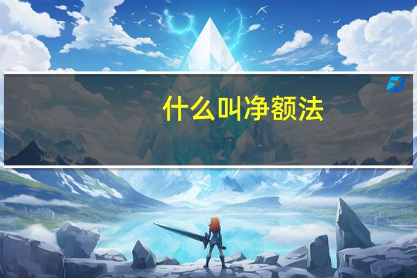 什么叫净额法