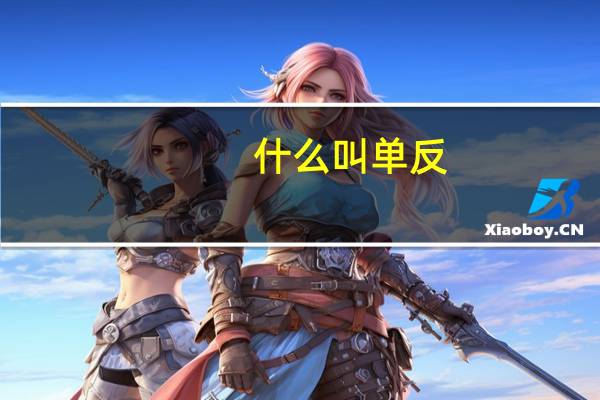 什么叫单反