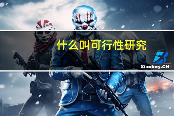 什么叫可行性研究