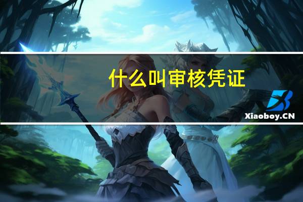 什么叫审核凭证