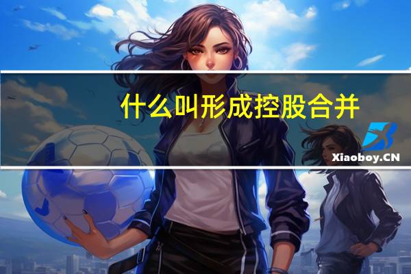 什么叫形成控股合并