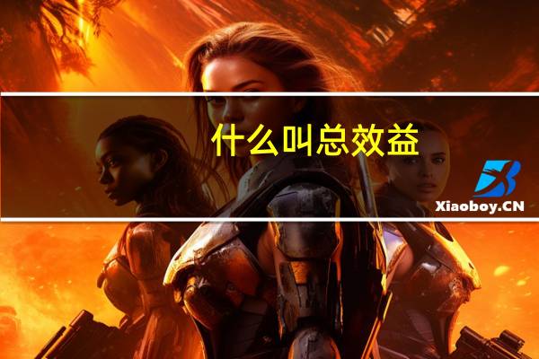什么叫总效益