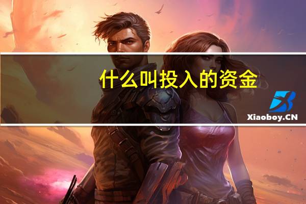 什么叫投入的资金